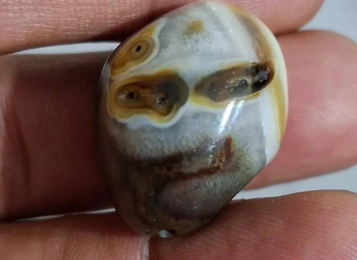 قنابل حب وحنان .كلمن وسعره


**إذا كنت صاحب هذا الإعلان وتريد حذفه لأي سبب، رجاءا أرسل رسالة إلى الدعم الفني**