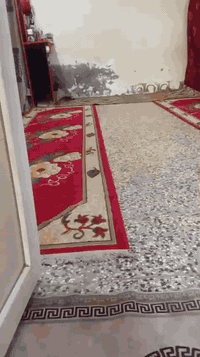 سلام عليكم بيت تجاوز شارع فلسطين على قناه ثلاث غرف استقبال جديده غرفه نوم فوك السطح  خدمات موجوده سعر 35بيه مجال ***********
