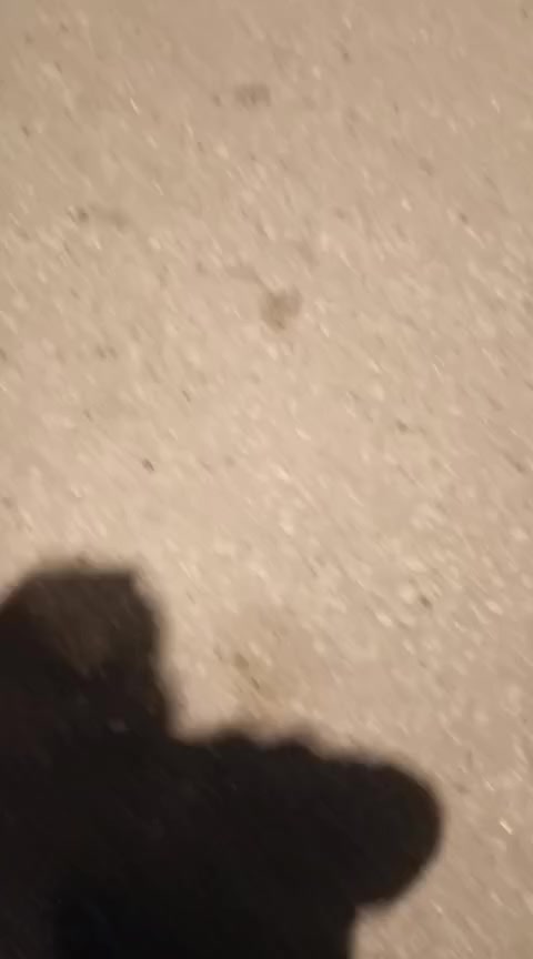 من رخصة الادمن المحترم
ماكس بوليس للبيع مودل 10 دراجه نضيفه وكلشي مبيها نقصه فقط جاملغ امامي وقبق بانزين فقط دراجه نكرة سلف بكل وقت شلعه قويه معدله محرك رياضي بوشه 55 اصل بلادي صالصنه اوراو ياباني
دراجه ممتعوبه ابد مال جناي 
اسف ع الإطالة والسعر اتصال وتشلع عيوني واني خادمكم مكانه كربلاء حي الغدير 
الرقم***********
