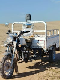 ستوته • نضافه • شاصي شرط