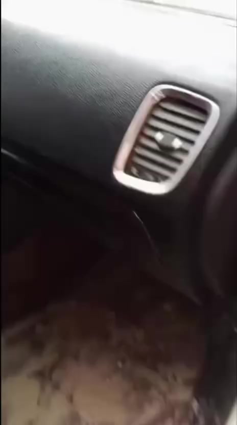 دوشمة عمار الياسري


**إذا كنت صاحب هذا الإعلان وتريد حذفه لأي سبب، رجاءا أرسل رسالة إلى الدعم الفني**