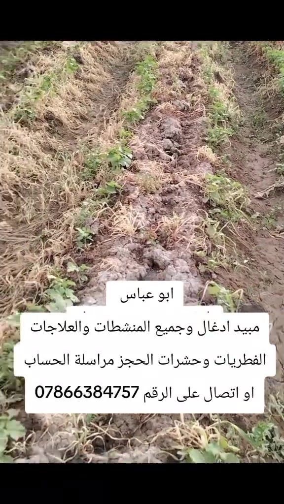 سلام عليكم ورحمة الله وبركاته يوجد جميع العلاجات ومبيدات حشريه وفطريات ومنشطات ومبيد ادغال العريضه والرفيعه والرفيعه فقط شرط مشروطه 
#نتائج موجوده بالصوره 
اتصال على الرقم ***********
او مراسلة الحساب
