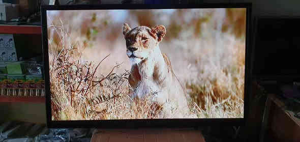 تەلەڤیزۆنی LG قەبارە 50 مۆدێل PB560B
شوشە سمارت نیە  لە هەولێرە نرخی 140000
پەیوەندی بکەن بەواتساپ و ڤایبەر *********** أربيل
