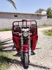 ستوته غزال • ٢٠٢٠ • أوراق كاملة
