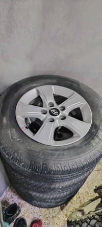 البصره ابو الخصيب • تخم كامل • خوذة