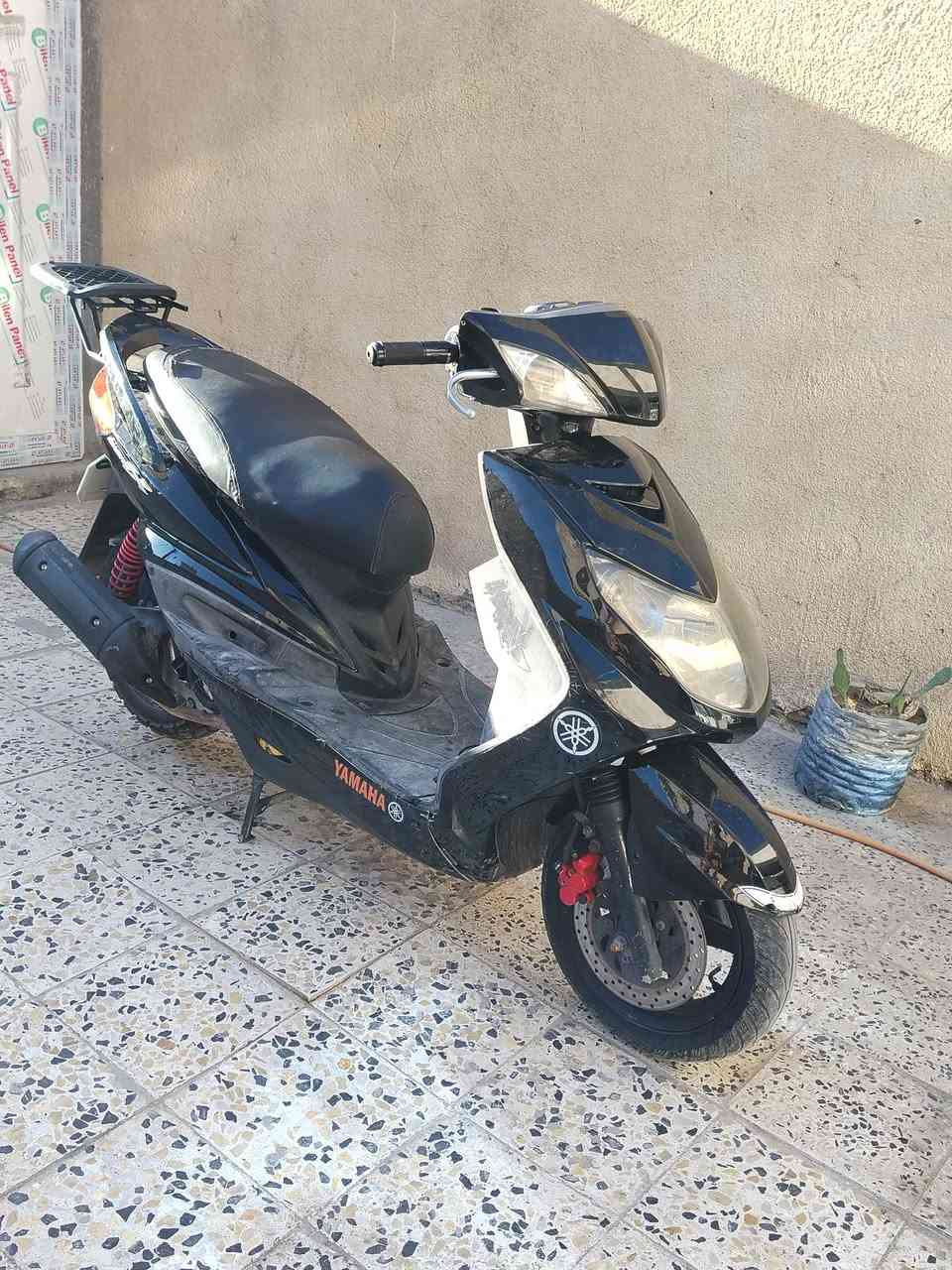 سكنس فحل مروس حسب قناعه  وبيع ٦٠٠👍 ***********
