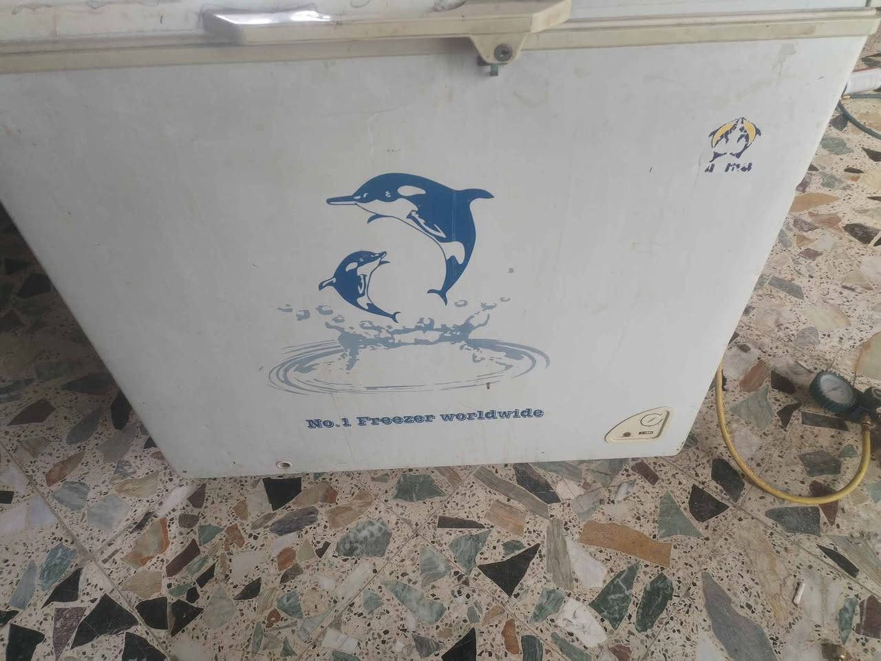 مجمده ام دولفين علفحص جديده على شركه فول تجميد علفحص شغاله اكو توصيل لباب شغل وتفحص تقتنع ساعتين 3 ساعات تقتنع يله تنطي فلوسها علفحص سعر 140 هيه وتوصيله اكو توصيل المدائن, بابل


**إذا كنت صاحب هذا الإعلان وتريد حذفه لأي سبب، رجاءا أرسل رسالة إلى الدعم الفني**