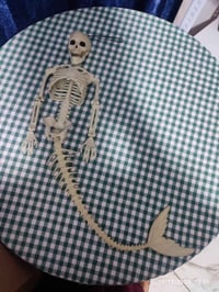 هيكل حورية البحر • مفصلي • ٨٢ سم