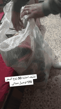 للحجز والاستفسار واتساب
***********
