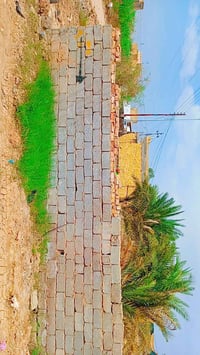قطعة زراعية • ٢٤٠م • واجهة ١٦م