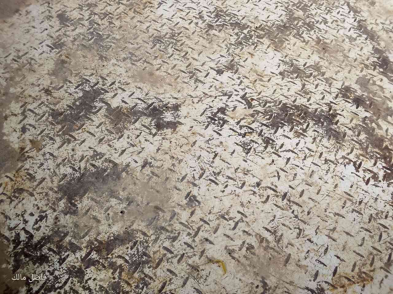 سلام عليكم ستوته للبيع مكان ذي قار سيددخيل بيع مستعجل.  سعر 750وبيه مجال   شقاله دوات مكفوله عشائر ***********

