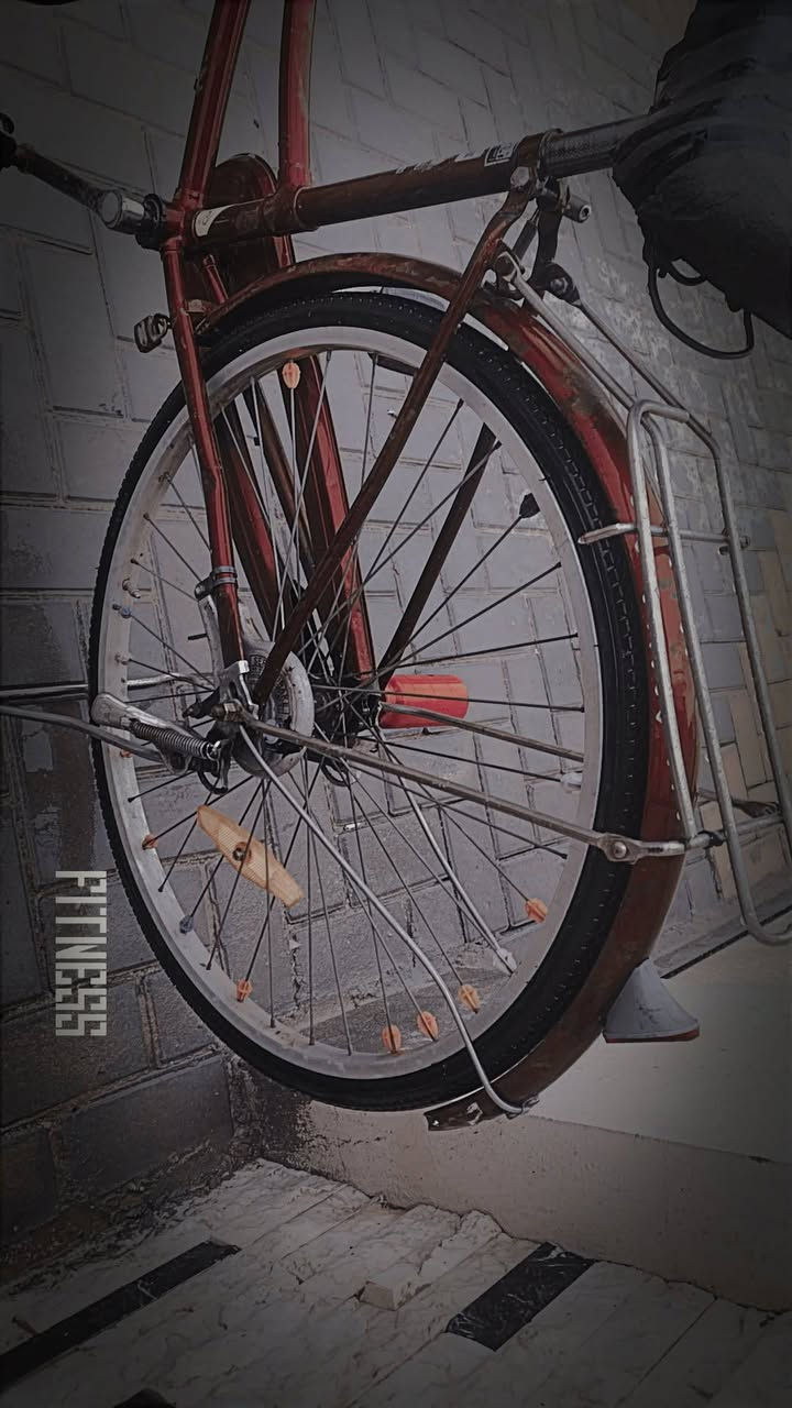 سلام عليكم بايسكل للبيع بناتي حجم 26الون ماروني مميز البايسكل مابي شي ولشه نضيفه بي بس بنجر الوره تايرات مابي شي نضيفات بايسكل مرتب السعر 60


**إذا كنت صاحب هذا الإعلان وتريد حذفه لأي سبب، رجاءا أرسل رسالة إلى الدعم الفني**