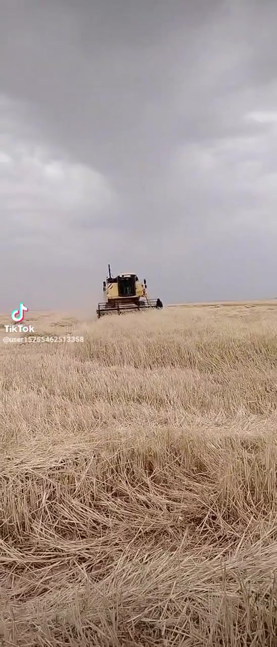 للبيع حاصوده خمسة بلم موديل2000 هيدروو تك درام طبله 15 قدم رقم اربيل سنويه بسمي حاصوده مكفوله لا فطر ولا لحيم محرك على وضع شركه تبريد كابينه بلادي مجهزه أربع كامرات مكان كركوك خابرني وتدلل ***********

