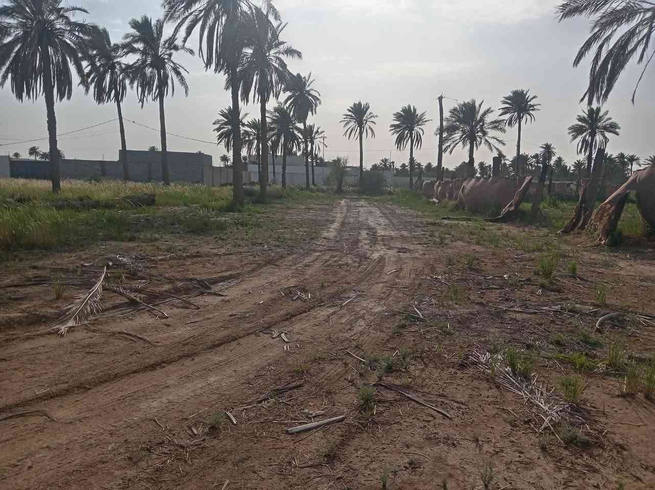 السلام عليكم بستان للبيع طابو اسهم ٥٠٠ متر على شارعين قطعه حلوء ثاني قطعه علئ شارع العام التبليط ماء كهرباء وبوري ماي باب البستان *********** على طريق السفينه السياحي الثاني

