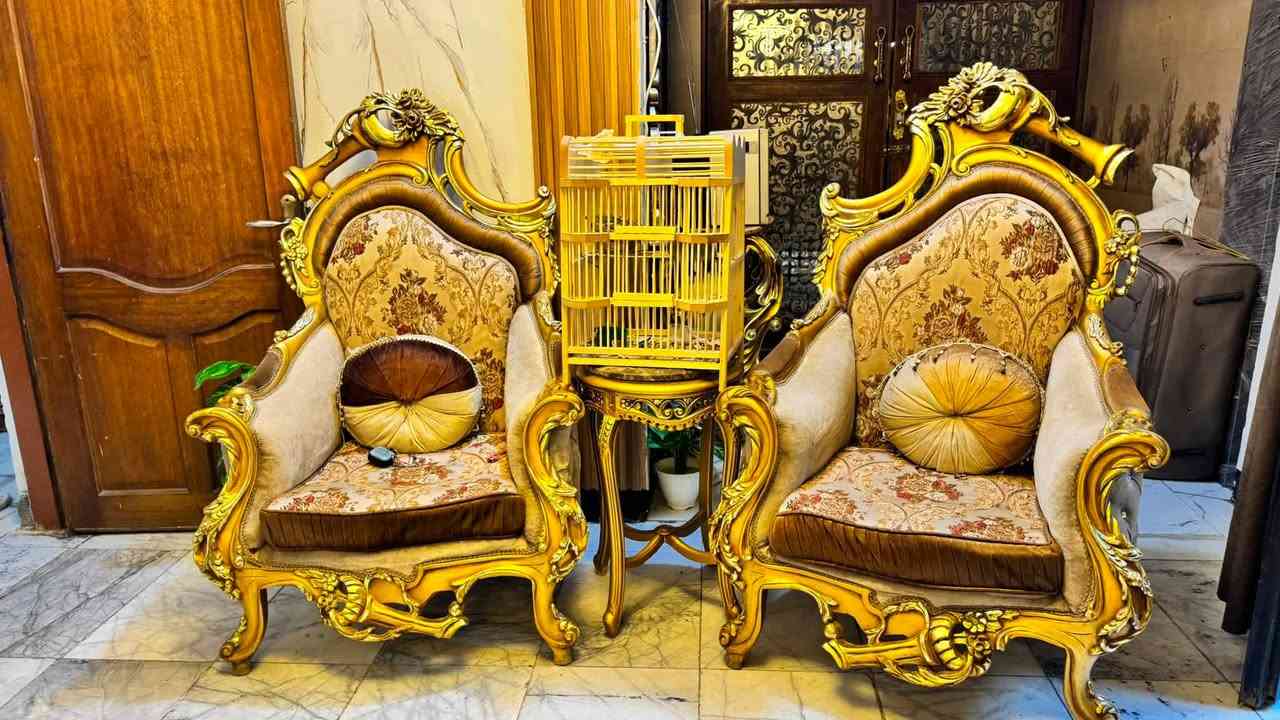 السلام عليكم تخم مصري زان  10 قطع مع الفازات السعر مليونين وبي مجال اخذنا 5ملايين نظيف جداً 
مكاني بغداد السيديه 
***********
