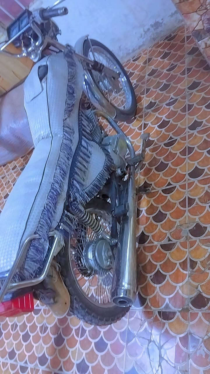 سلام عليكم دراجه اربعه كير تايكر 2019[ كلك كلك]اتكتبلك عليه عن السرقه دراجه حلوه شلع معدل ناعمه دراجه خير من الله السعر 280 وبيها مجال قليل مكاني بابل السكندريه رقم الهاتف ***********
