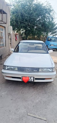 كصيف • ١٩٩١ • ناصريه الفهود