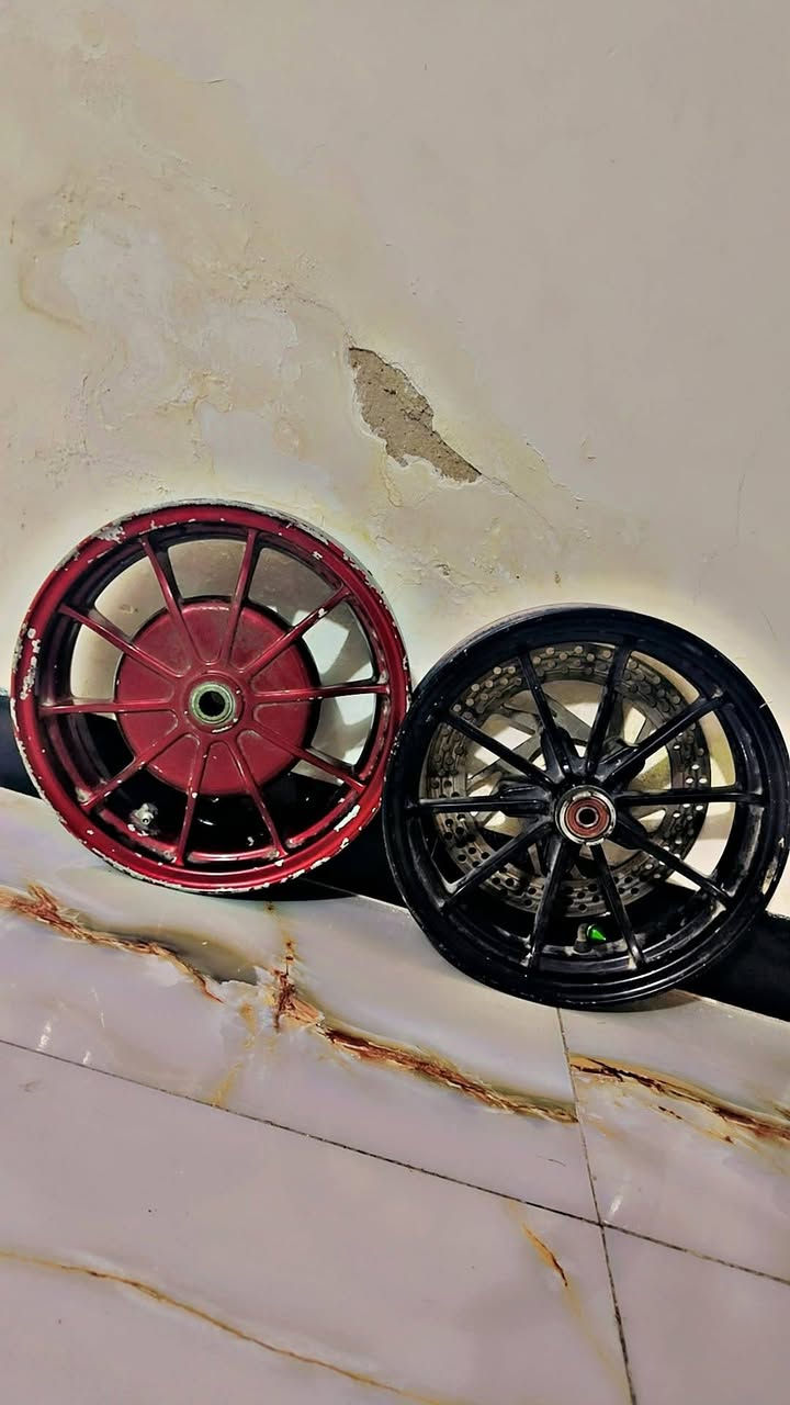 سلام عليكم ويل كب سكنس جبلي مشيف
ويل رمبه لاعواج ولا تعديل مكفول سعره
225 مكاني بغداد العبيدي شراي  يتصل ***********
