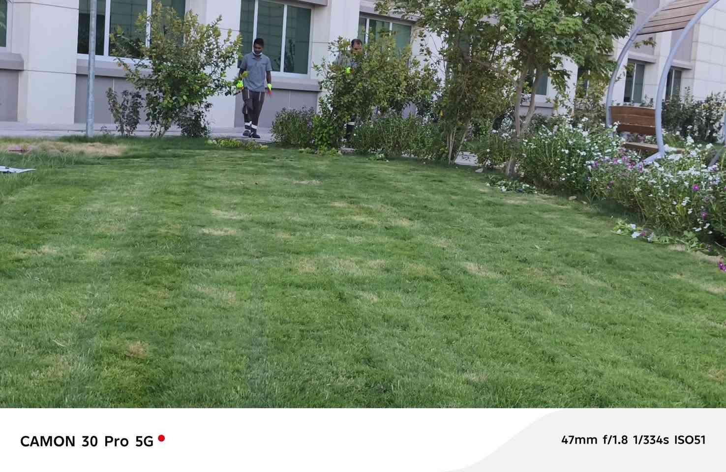 تصميم وهندسة الحدائق  كذلك تنظيف وإدامة واشراف كامل 
بإدارة المهندس الزراعي أحمد الإبراهيمي 
للاستفسار التواصل خاص أو اتصال ***********
