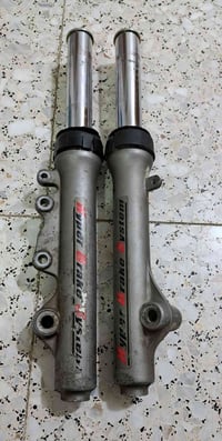 دبلات ثعلب أمامي بلاديات تفصيخ اكرر (بلادي) مو تجاري سعر الزوج ٢٥  مكا...