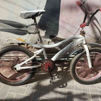 باسكل • حجم عشرين • سماوة