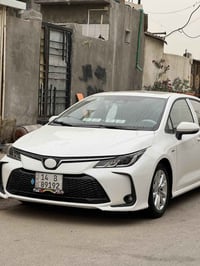 كورلا • ٢٠٢٥ • رقم بصره