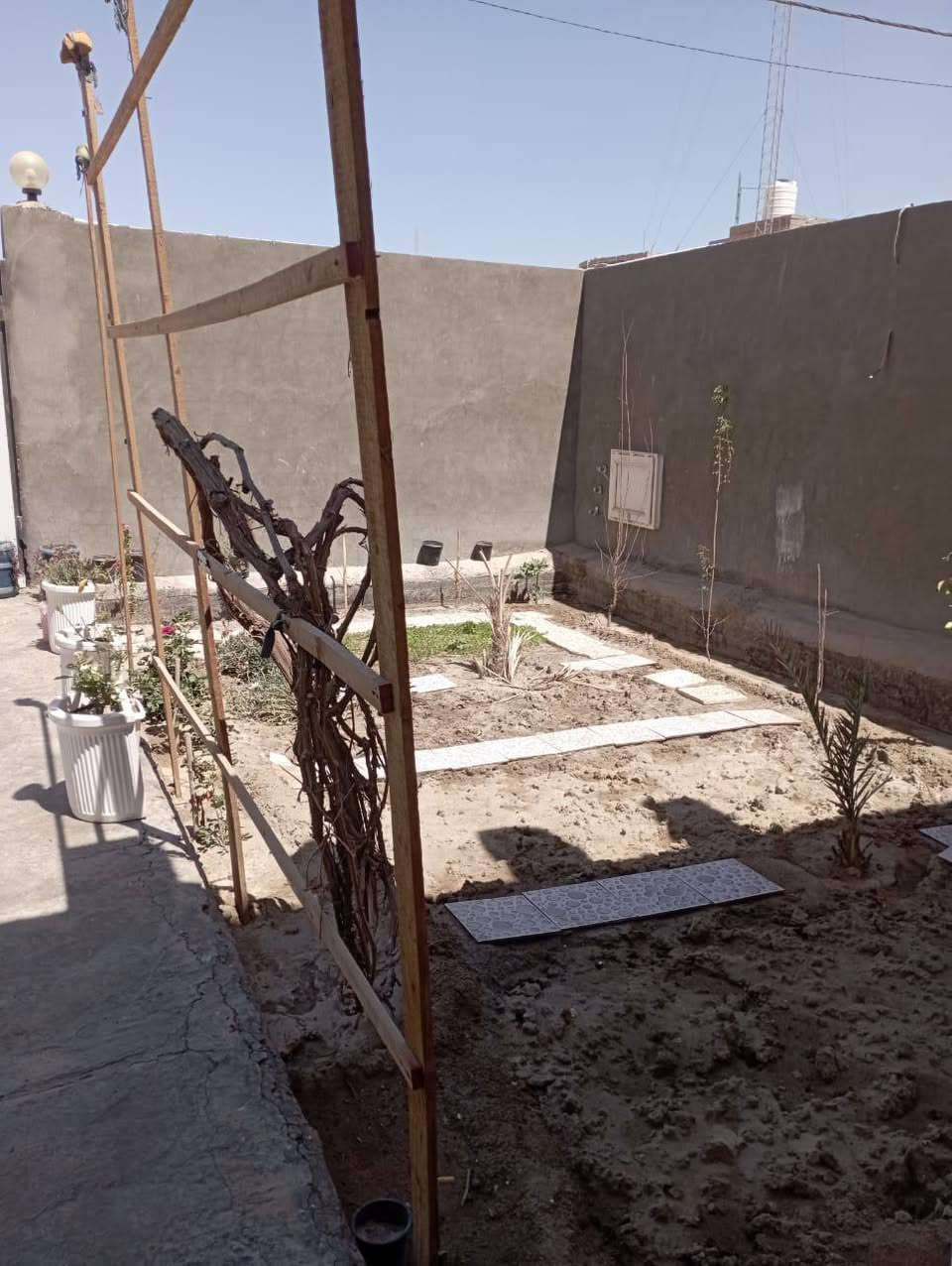 السلام عليكم دارطابوصرف للبيع مساحه325بناء200مترحديقه125طابوك جمهوري صب بناءدرجه اولى بيه غرفتين وحده6×4سويت والثانيه5×4صاله11×4مكشوفتين 3حمامات براني9×4بس بعده بدون لبخ مطبخ حار3×3والبارد6×4الغنوان الحيره حي الحسين قرب المدرسه الصيني الجديده الاتصال ***********
