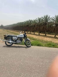 ام زي • ٨٢ • لحيم