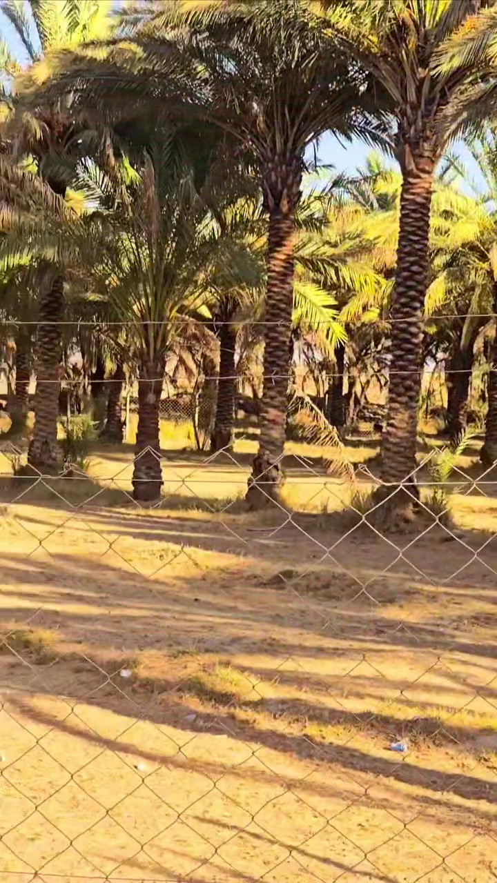 السلام عليكم
قطعه مساحه نص دونم 
السند 25 تحويل مباشر
وبيها مغروزات اكثر من نوع
مواقع خلف جامعة بابل 
يم المرقد نبي الله ابراهيم الخليل
 تبعد عن الشارع العام مسافه قليه جداا 
متواجد كافة الخدمات من ناحيه
الماء وكهرباء ماء سقي 
لاستفسار اكثر الاتصال على الاقام التاليه
***********

‏‪
