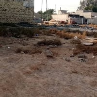 قطعه ارض نهايه اربع شوارع مدخل سكله الركابي مي كهرباء بتلو ودفن كامله ...