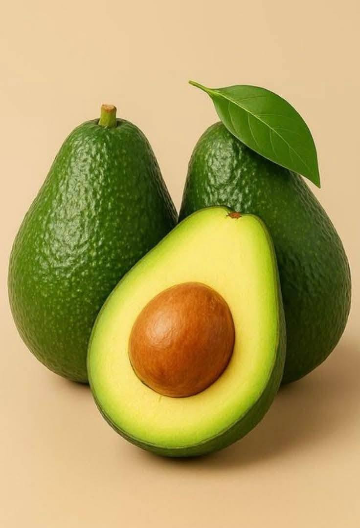 الذهب الأخضر اشتال افوكادو مركبة أصناف عالية الجودة🥑🥑🥑
أفضل وقت لزراعة شجرة كان قبل عشرين سنة. وأفضل وقت بعد ذلك هو اليوم.🥑🥑💯

زراعة شجرة واحدة كافية لإنتاج 300كغم 💯🥑💯

وهذة الصنف من اندر الأصناف
يتميز بالحمل الغزير وطعمة اللذيذ
وقدرته على تحمل الصقيع ودرجات الحرارة🌦️🌴🌦️

واذ يتراوح طولها إلى أكثر من 15عشر قدم💞🌱💕

فترة القطاف تمتد من( تشرين اول - كانون اول)🥑🌱🥑
.. التواصل... 
اتصال0799257256
واتس 0795972646


**إذا كنت صاحب هذا الإعلان وتريد حذفه لأي سبب، رجاءا أرسل رسالة إلى الدعم الفني**