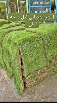 متوفر مشتل الكبيسي 07830249777