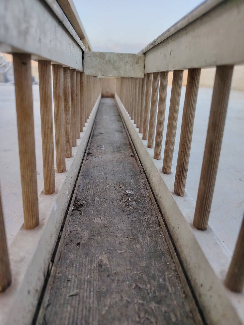 معلف حمام يرهم دجاج
طول مترين وعشرين سم
تفصال بلجيكي
سعر ٢٥
***********
