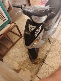 شغالي • سلف • ضفيره جديدة