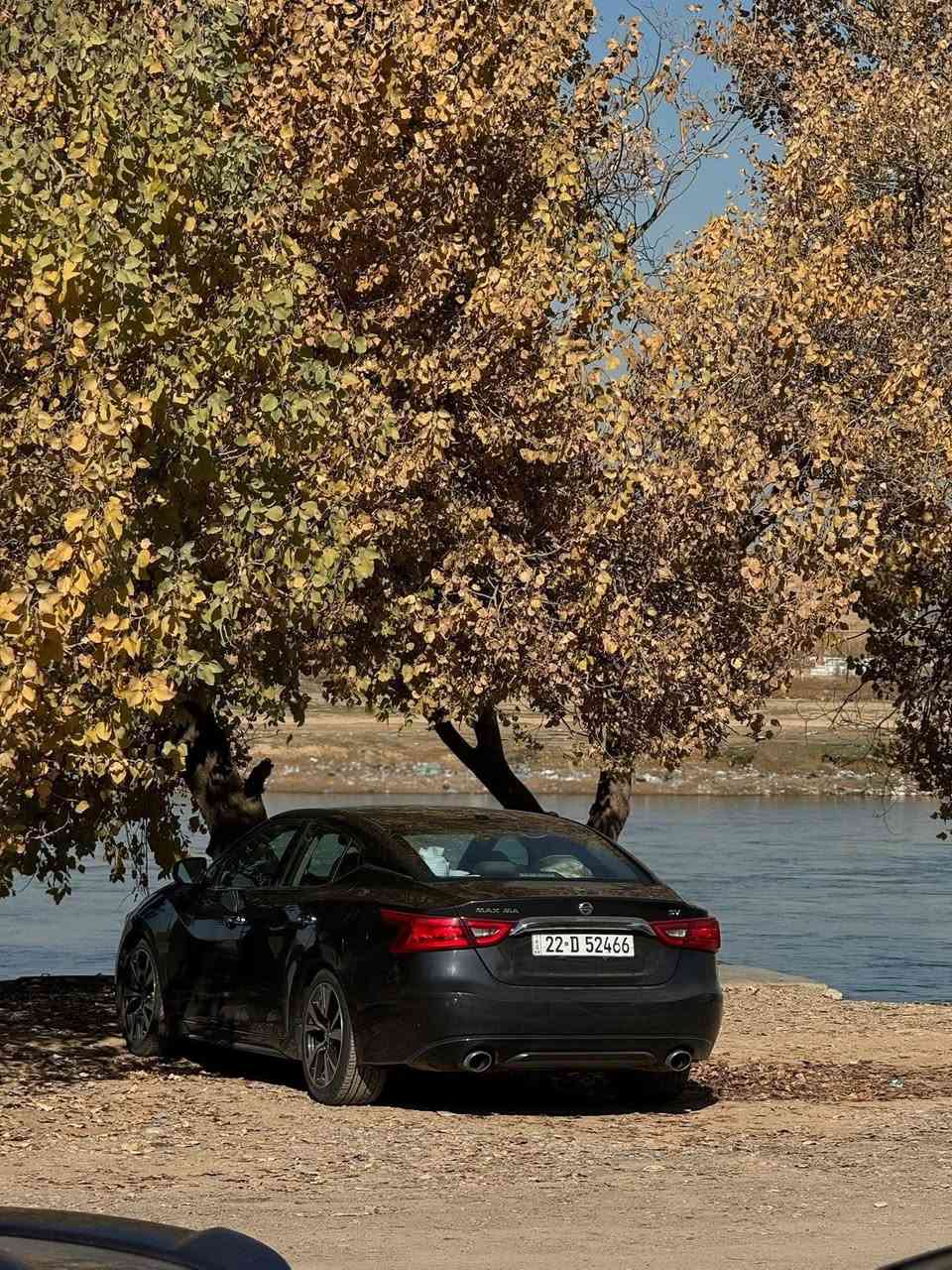 سلام عليكم للبيع او مراوس نيسان مكسيما موديل 2017 مواصفات sv رقم اربيل شرط التحويل سياره نضيفه ومرتبه شوفة عينكم حادثها جاملغ السايق صبغ فقط بدون دواخل بدون شاصي شرط ايرباك ستيرن ودشبول راجع سستم سنويه ورقم جديد بيها بطاقة بنزين إذا اكو مراوس بجالنجر او اي شي حسب القناعه مكان السياره كركوك رجائاً الي يريد يخابر ما متواجد ع فيس سعر 133 وبيها مجال بسيط  
***********
