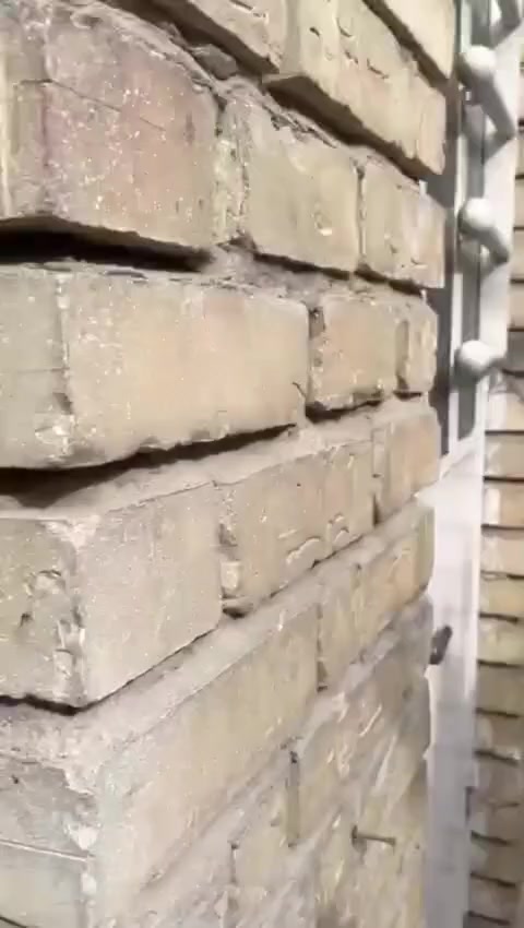 بيت للايجار
الاتصال ع الرقم 
0‎771 183 4333
*********** 
طابقين 
الطابق الاول : صالة غرفة نوم مع خدمات.
الطابق الثاني : غرفتين نوم مع خدمات  
العنوان: البلديات الضباط ٢ شارع المرور
الايجار : ٥٠٠ 
مطلوب عائلة صغيرة 
جميع المستمسكات الرسمية مطلوبة
