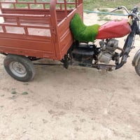 ستوته للبيع 07818265580