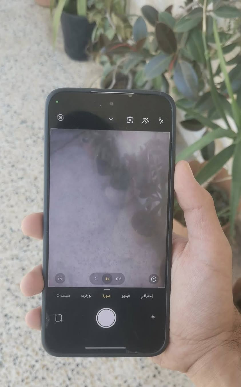 POCO F7
ذاكره 256 GB
ورام 16(12+4)
معالج اسطوري SNAPDRAGON 8S gen 4
وحش الببجي حرفيا 
120 فريم بكل الالعاب
بطارية 6500 قطارةةة شحن 
شحن 90 واط
نسبة البطاريه 99%
فقط بي فطر خفيف بالكلاس
والكامرا الخلفيه مغوشه بس شغاله وال0.6X شغاله طبيعي دمعه
مراوس او بيع سعر خاص


**إذا كنت صاحب هذا الإعلان وتريد حذفه لأي سبب، رجاءا أرسل رسالة إلى الدعم الفني**