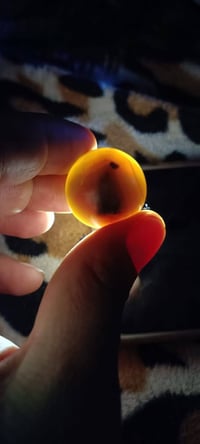 متاح سليماني مصور صوره السيد 07717074102