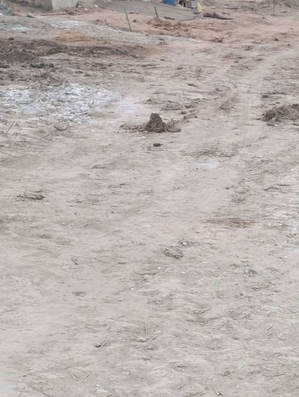 السلام عليكم متاح دونم اله ميه. متوفر ماي وكهربا. وبيهه. نخل انواع.  المكان قرب سيد مجيد الموسوي قضاء السدير ***********
