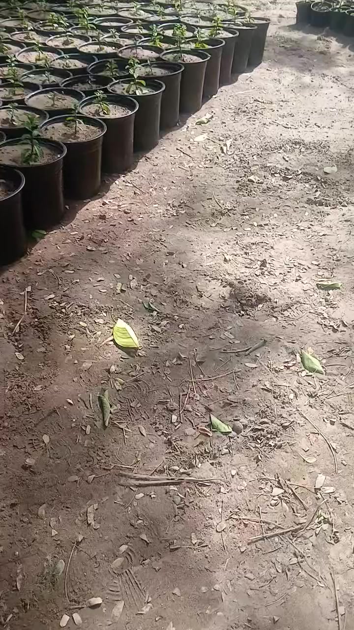 مشتل الزهور حي ميسان مقابيل مصرف الدم الحاج محمد العبودي


**إذا كنت صاحب هذا الإعلان وتريد حذفه لأي سبب، رجاءا أرسل رسالة إلى الدعم الفني**