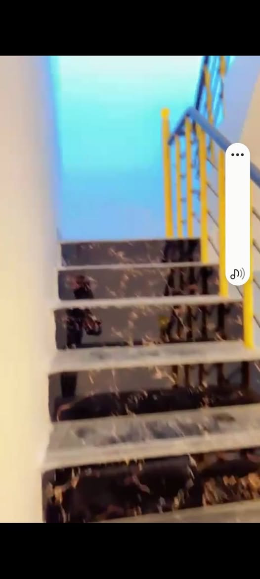 للبيع بيت 🏡 طابو صرف فى #الأساتذة خلف اربع شوارع مساحته #٥٠م واجهه خمسه بناء حديث نظيف جدا يحتوي على #غرفتين_نوم 😴 وصاله ومطبخ وصحيات للإستفسار اتصال 🤙 على الرقم 
***********
#الجميع
