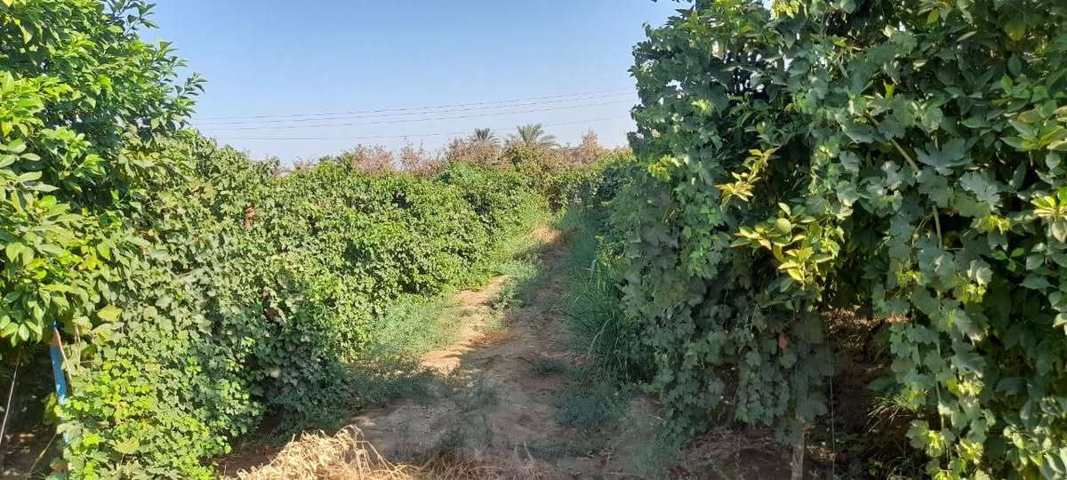 السلام عليكم
بستان للبيع 2 دونم
قرب مزرعة حسين ابو الكون
للأستفسار الاتصال على
***********
***********
