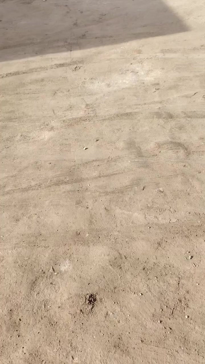 ستوته البيع موديل 2023 مكاني كربلاء الحر السعر ٣ مليون  صار  يومين من طلعت من المعرض  ماماشيه صفر هاذا رقمي *********** الشراي يتصل ويتدلل
