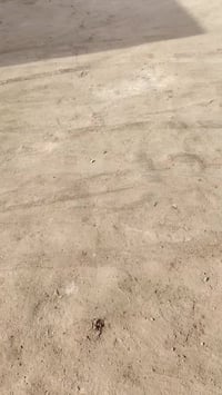 ستوته • موديل ٢٠٢٣ • كربلاء الحر