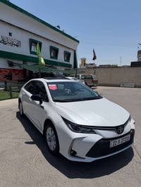 كورلا • ٢٠٢٥ • رقم اربيل