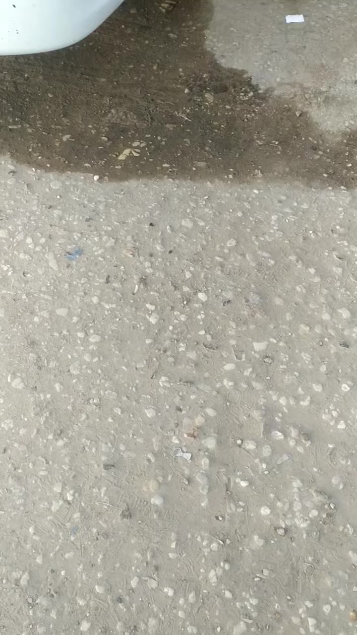 السلام عليكم جنبي ناصي للبيع مكفوله كفاله عامه حره موديل 14 رقم القادسيه مداور ثاني  يوم سعر88 وبيه مجال رقم الهاتف ***********
