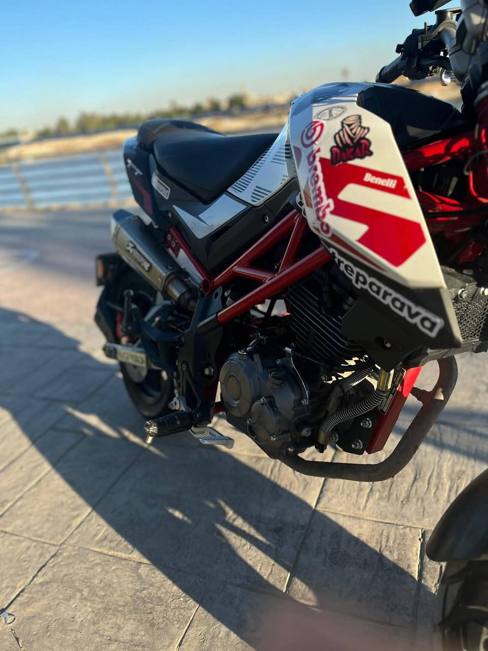 بنيلي تي ان تي 135 ss
النسخة الرياضي 
الدراجه مكفوله بكلشي نضيفه جديده لوك جانت مضمومه 
موديل 2022 بل حقيقه احلى بهواي من الصور رقم حديث انكليزي بأسمي تحويل ثاني يوم 
للاستفسار ***********
