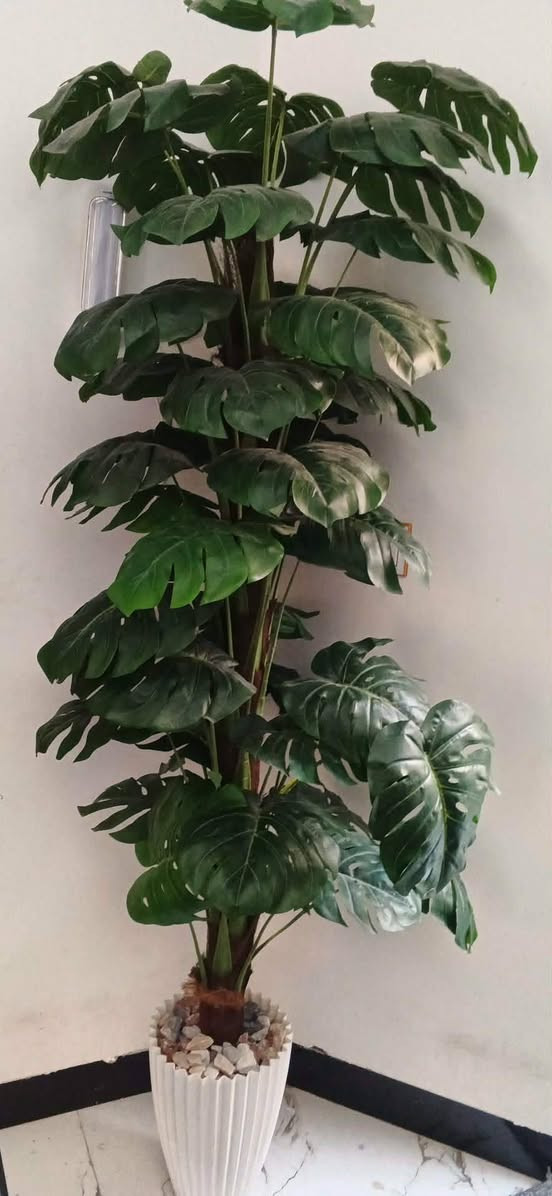 اغراض للبيع اسعار قفل🔒 لاتراسلني اذاموشراي
الكننتور 150
الزحليكه 20
مرجوحه عش 60
الشجره 30


**إذا كنت صاحب هذا الإعلان وتريد حذفه لأي سبب، رجاءا أرسل رسالة إلى الدعم الفني**