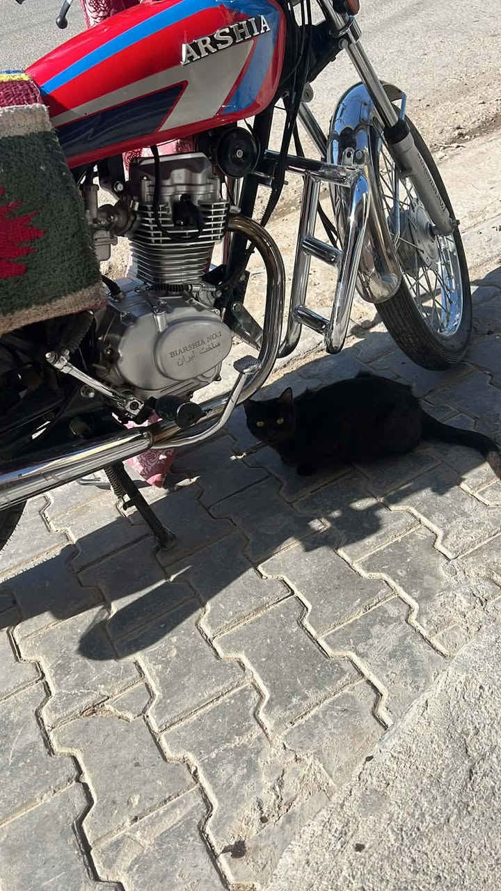 سلام عليكم دراجه اربع كير 2024 نامه اوراق اسكنر دراجه نضيفه وحلوه بيها بس صوت تفيلس اي عاجبته وشراي اني موتواجد 24 ساعه او سعرها هم حلو طبلي خاص وتدلل


**إذا كنت صاحب هذا الإعلان وتريد حذفه لأي سبب، رجاءا أرسل رسالة إلى الدعم الفني**